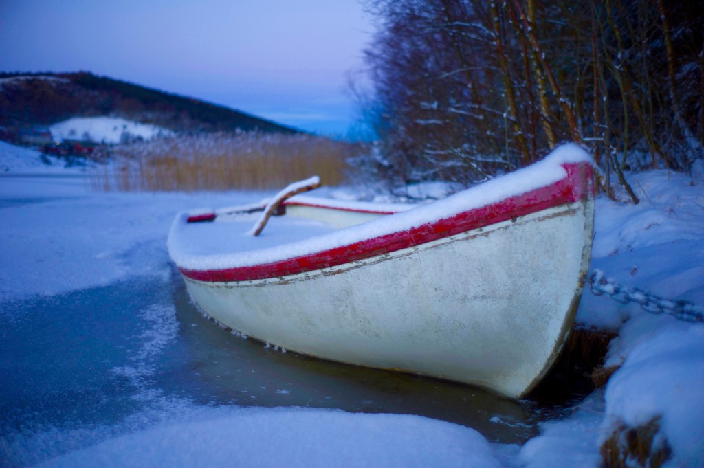 Frozen boat